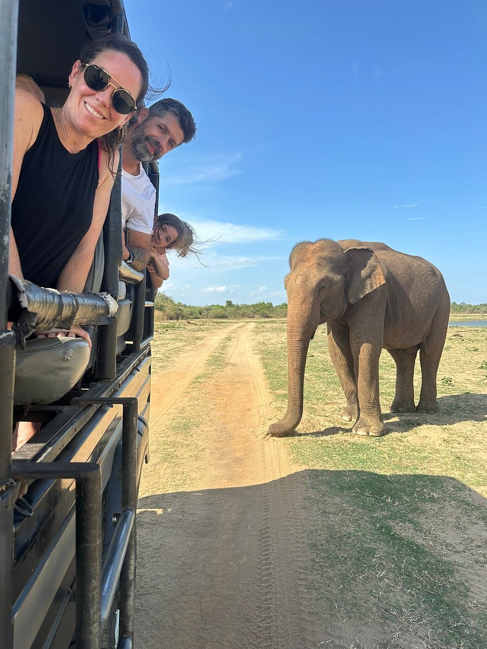 Safari wildlife tracking